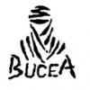 BUCEA81